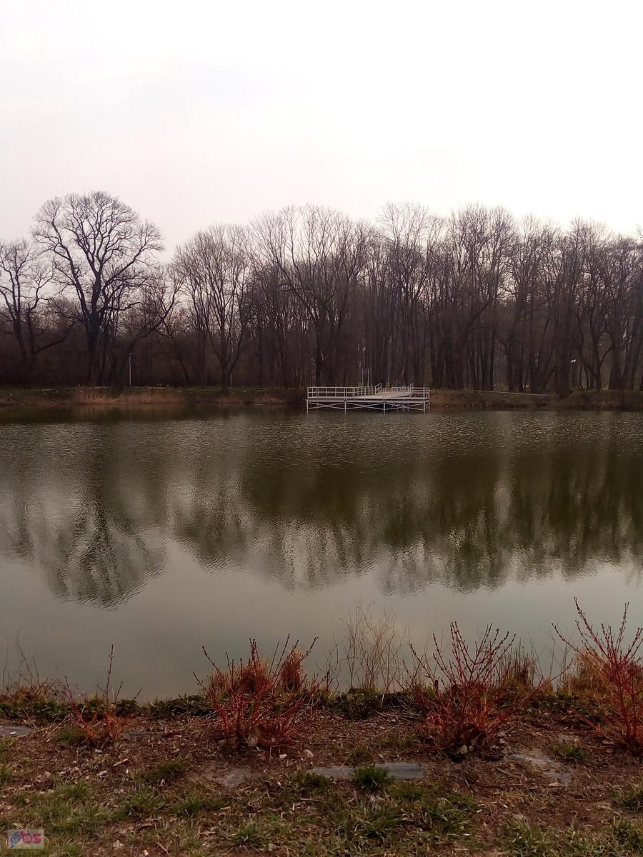 Staw w Ołtarzewie