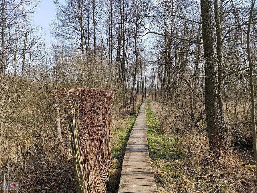 Ścieżka przyrodnicza "Spławy"