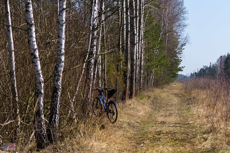 Krótki postój przy torach linii kolejowej D29-1 w miejscowości Masłońskie