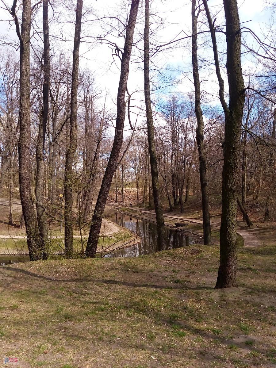 Fosa w parku