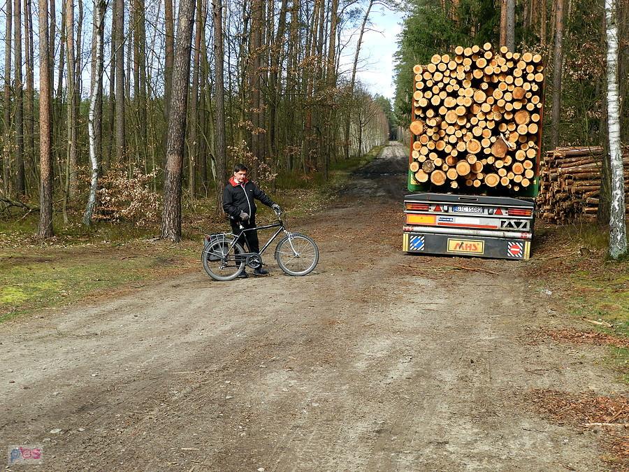 Kuba pod Dobieszczynem.