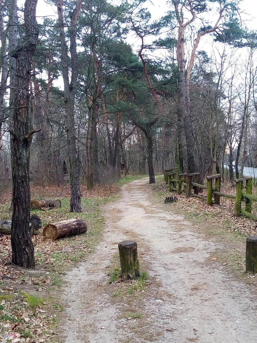 Przejechałam pól kilometra leśną ddr, chyba złamałam przepisy :)