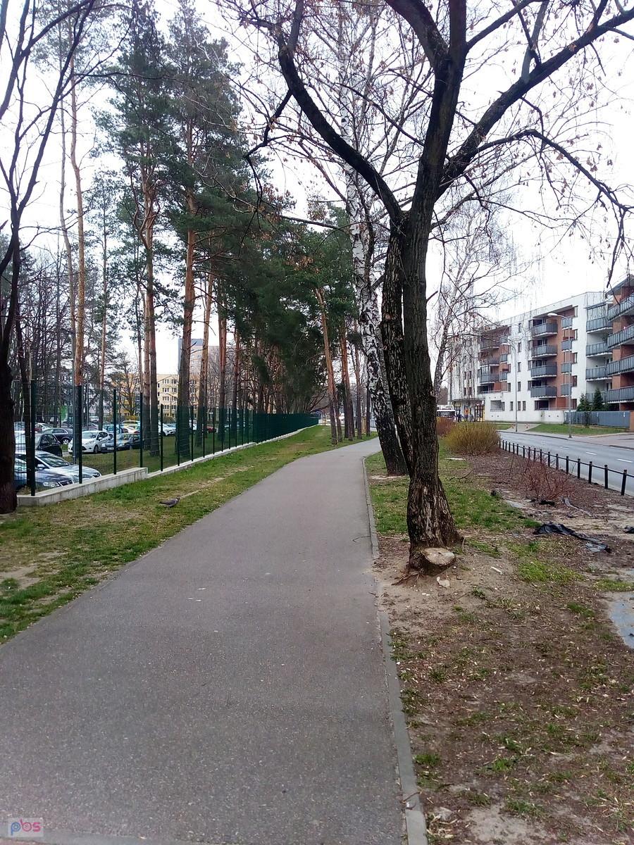 Ddr na Kocjana