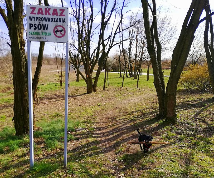 Taki zakaz w dzisiejszych czasach administracja może sobie włożyć w koronowirusa