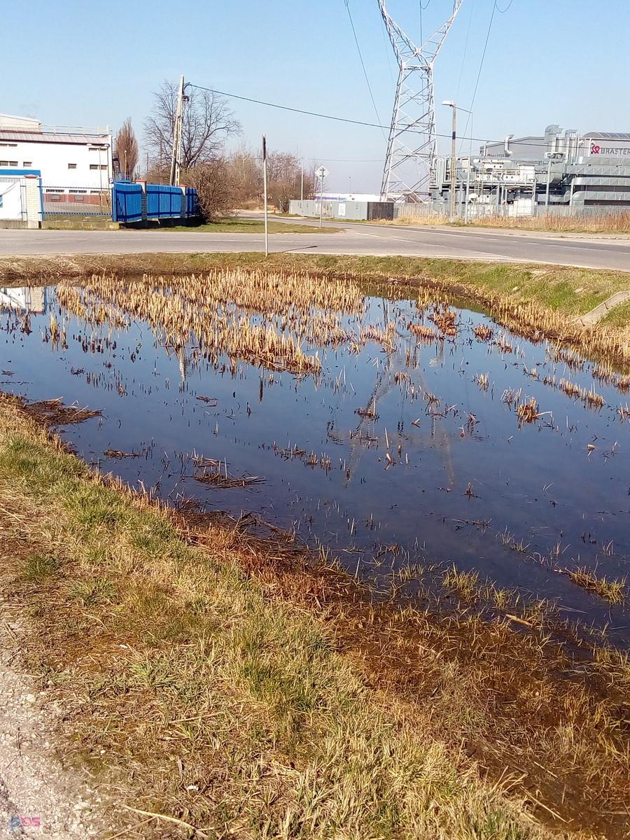Tylko mikro staw, bo przy gliniance na Połczyńskiej stał radiowóz Straży Miejskiej, więc nie chciałam ich drażnić