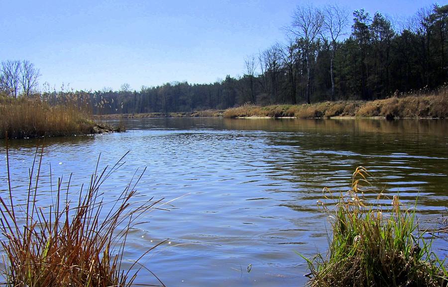 Zerknięcie na drugi brzeg, Radzewice