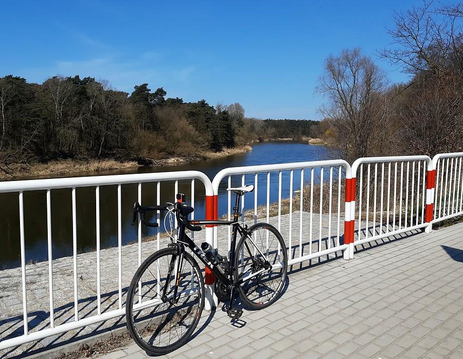 Tam z tyłu to las - czyste zło :) - Czapury