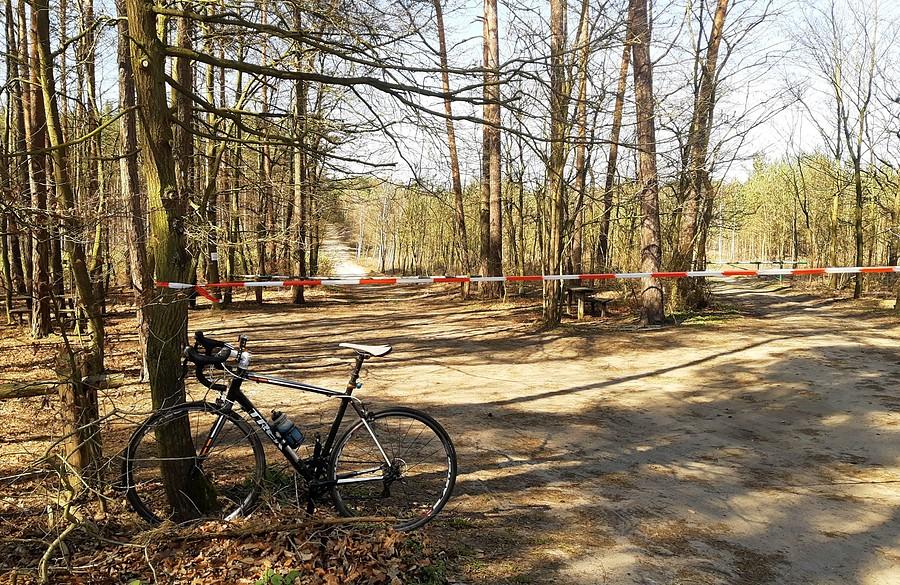 Faktycznie, zakazane. Nawet resztki lasu - Nadleśnictwo Babki