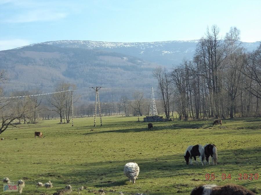 Kowarski Grzbiet i barania góra ;))