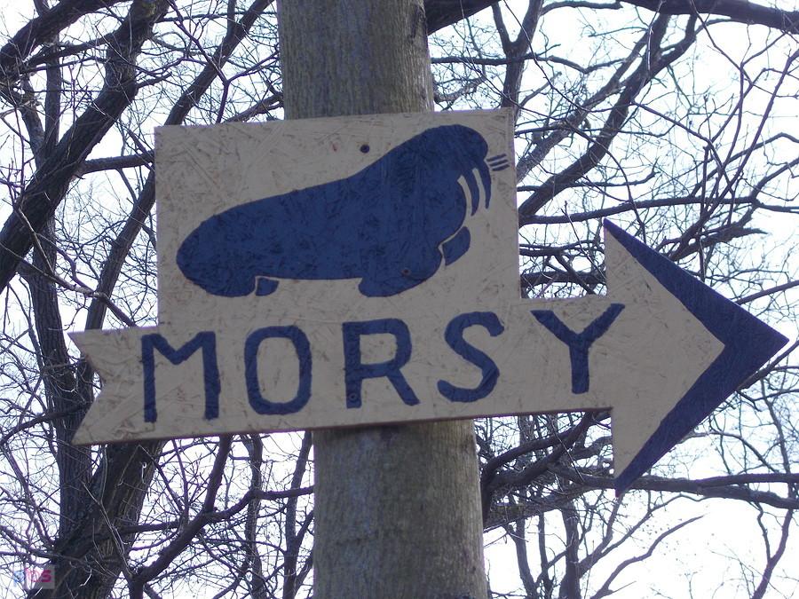 Morsy pomiędzy Rudawicą, a Trzebowem