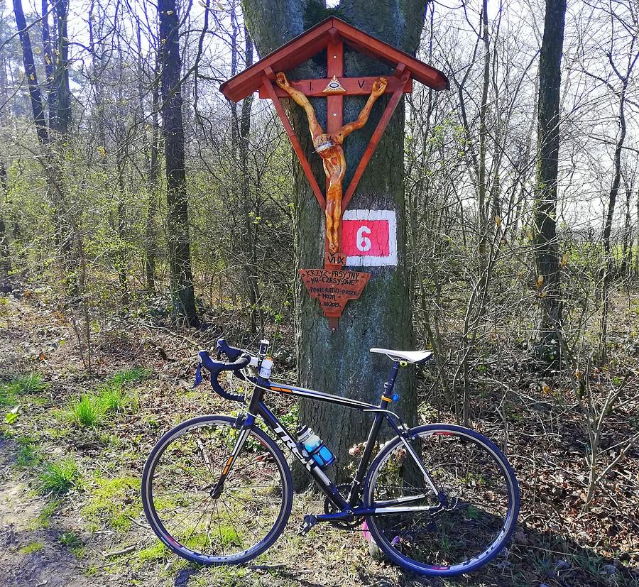 Kliamtyczny krzyż - Podłoziny
