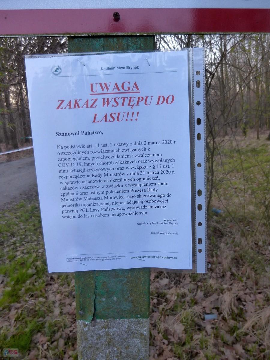 Do lasu nie wolno