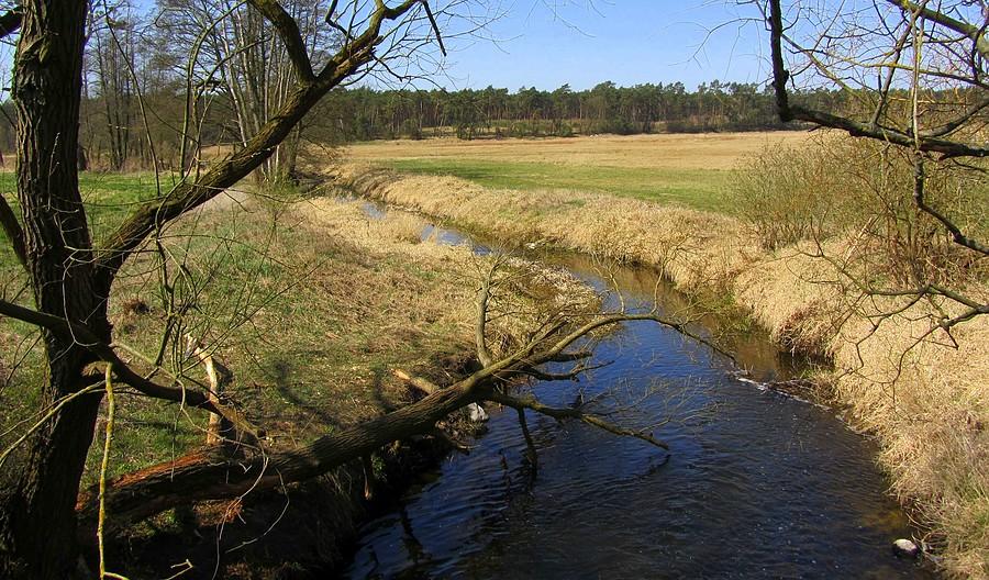 Ciek Głuszynka - Poznań