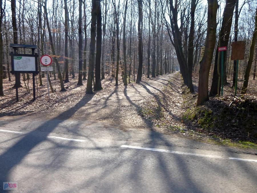 W parku pusto, ale nie wolno... :-(