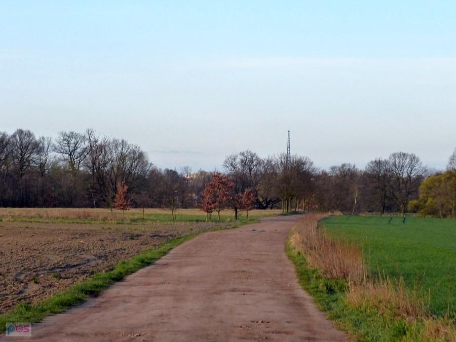 Przede mną wieża Eiffla