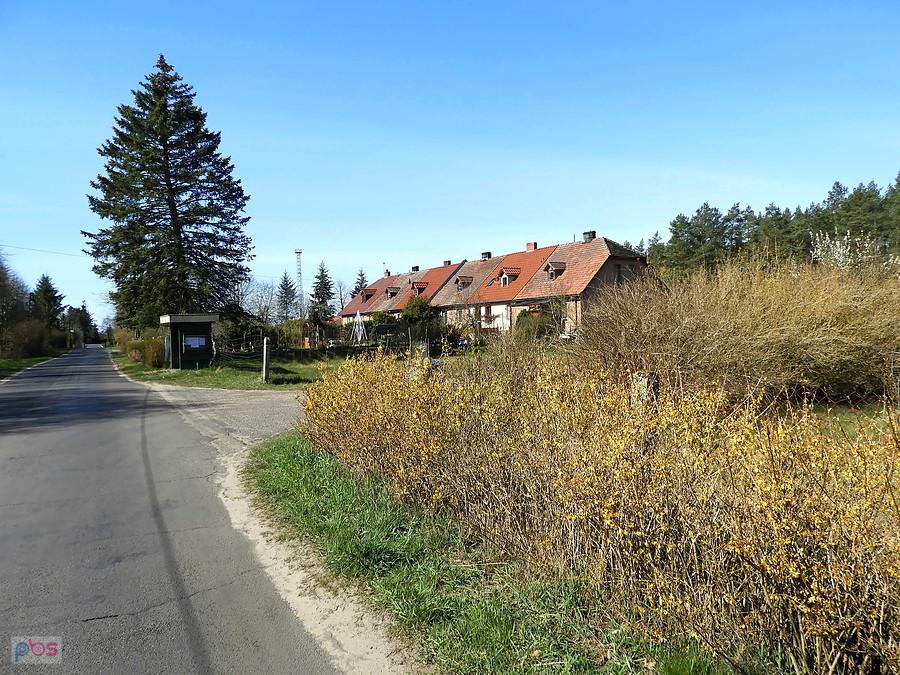 Fragment miejscowości Zalesie.