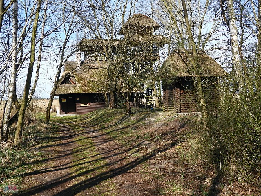 Drewniany obiekt nad jeziorem Świdwie - teraz niedostępny.