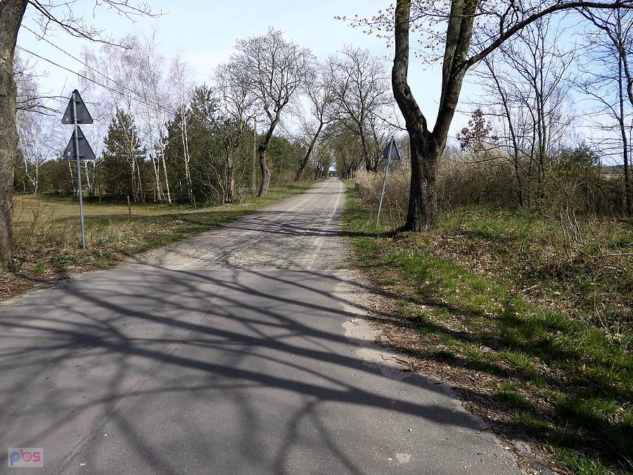 Droga do miejscowości Łęgi.