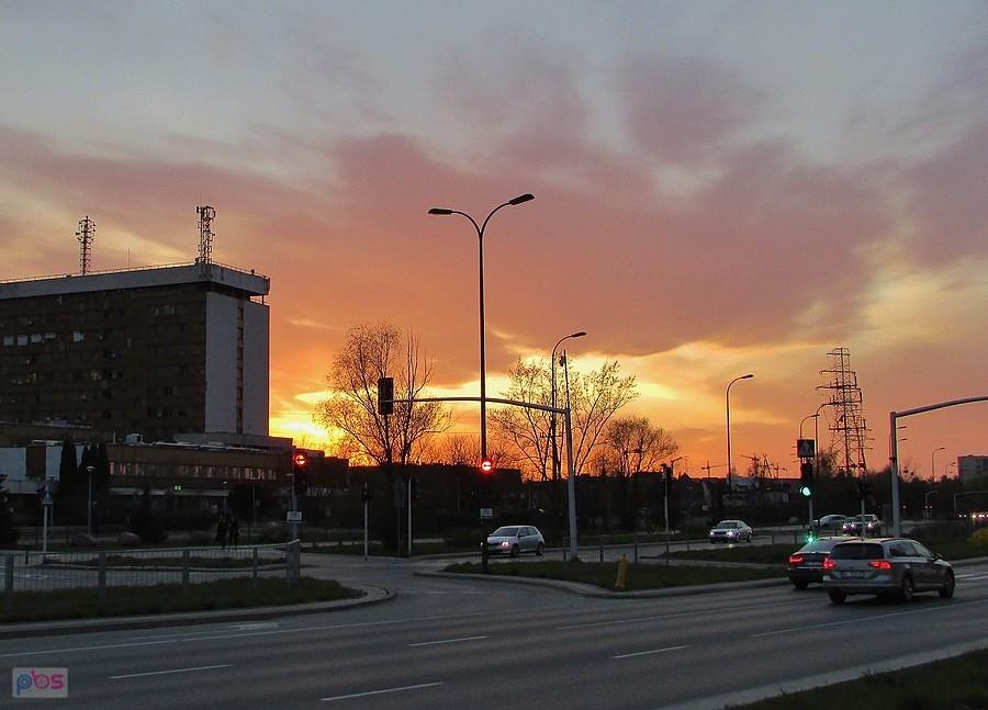 Ulica Rotmistrza Pileckiego