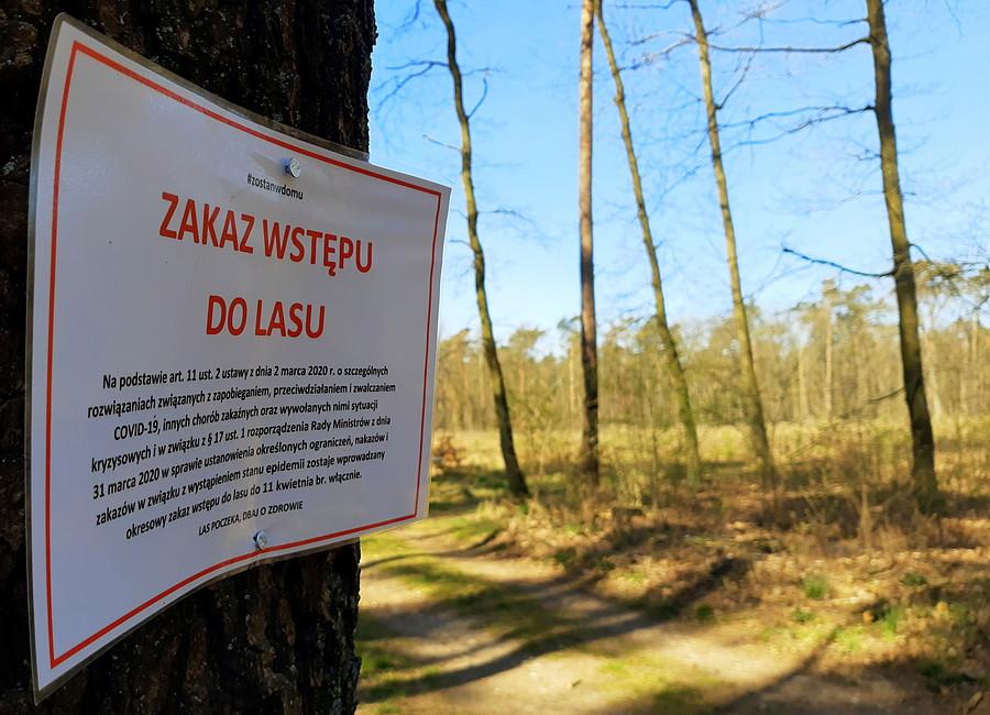 Zakaz wstępu do czego? - Tulce