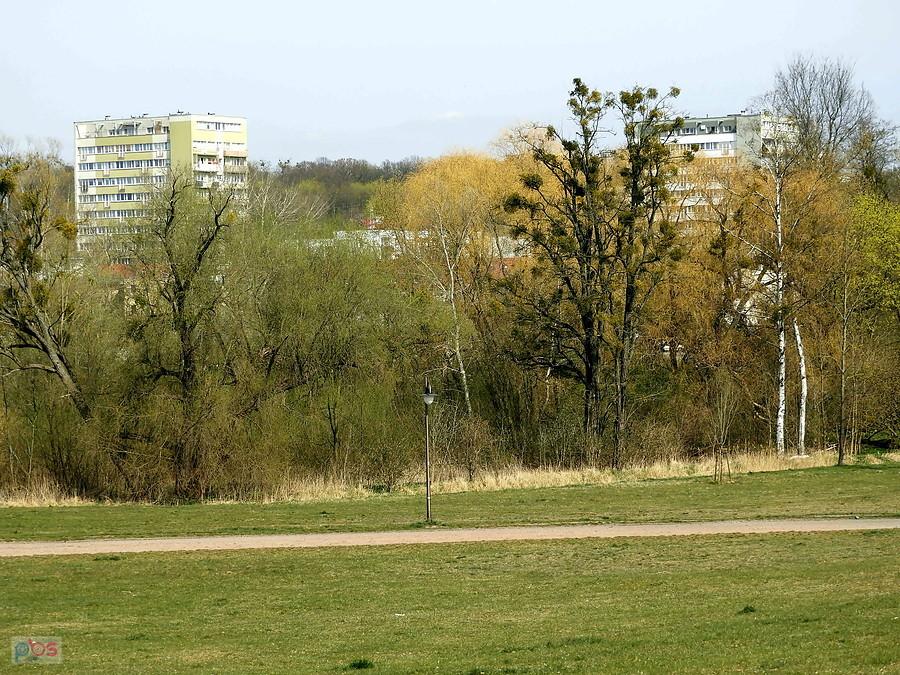 Pod lasem - widok z ulicy Kochanowskiego.