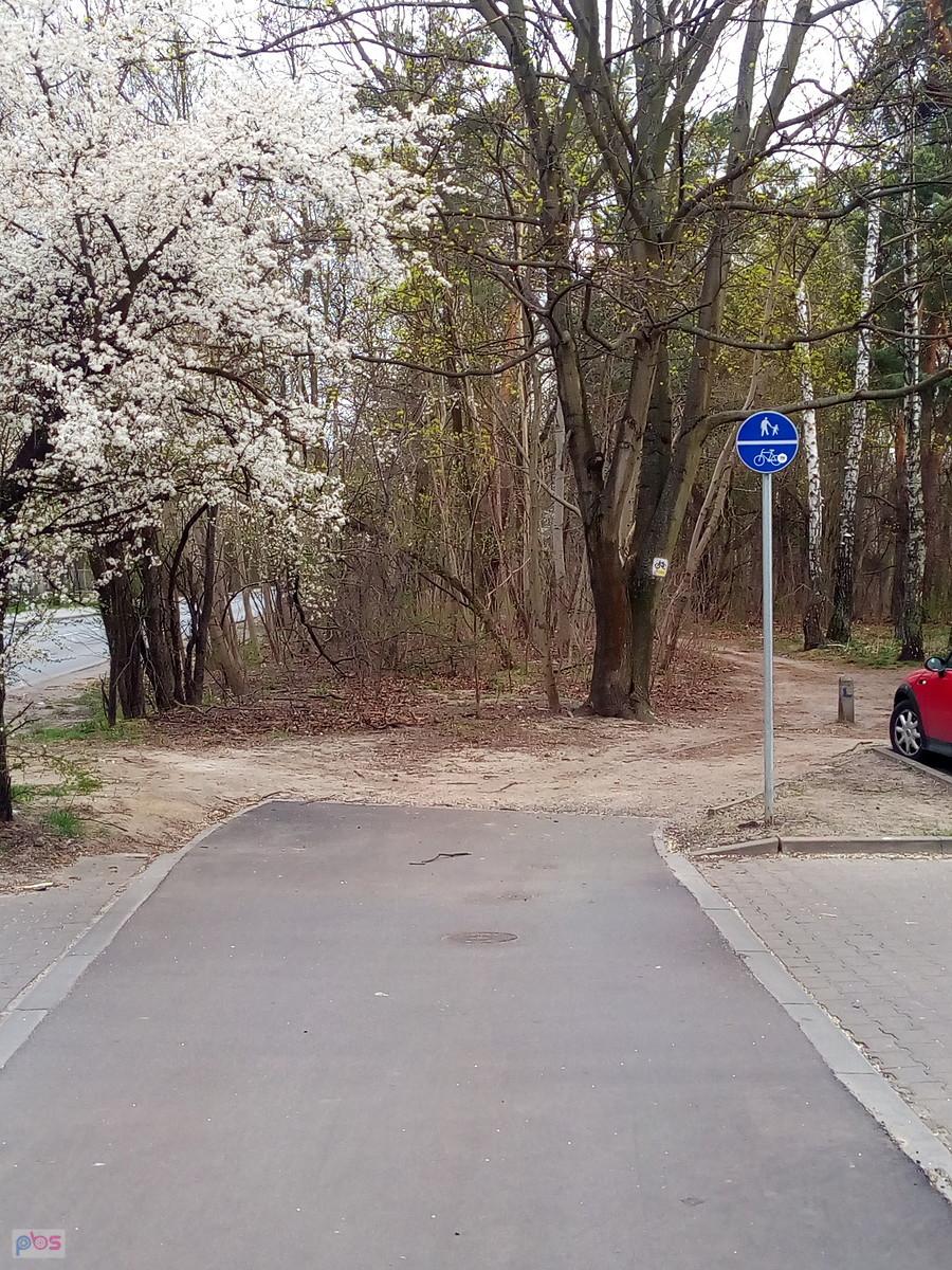 Tu kończy się asfaltowa a zaczyna leśna ddr. Nie ma zakazu wstępu ani wjazdu dla rowerów