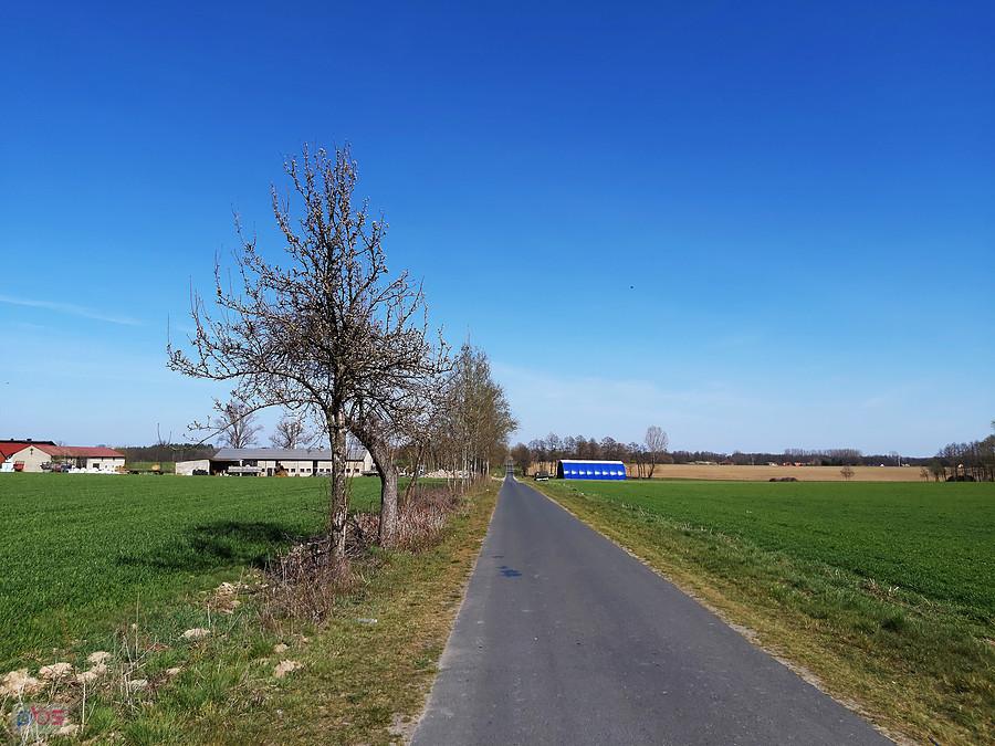 Wąska, boczna dróżka na Sosnice