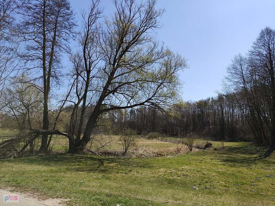 Pit stop na odpoczynek i zdjęcia