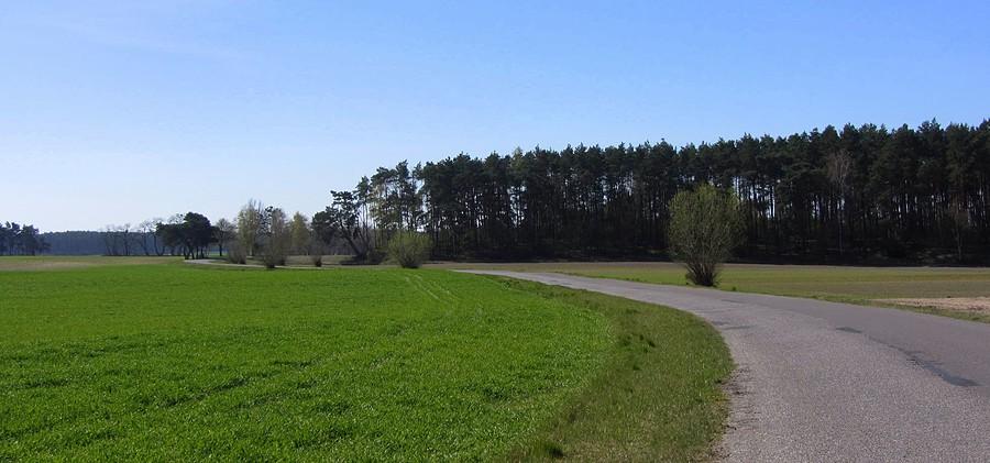 Strefa bezpieczna, wirus na wprost