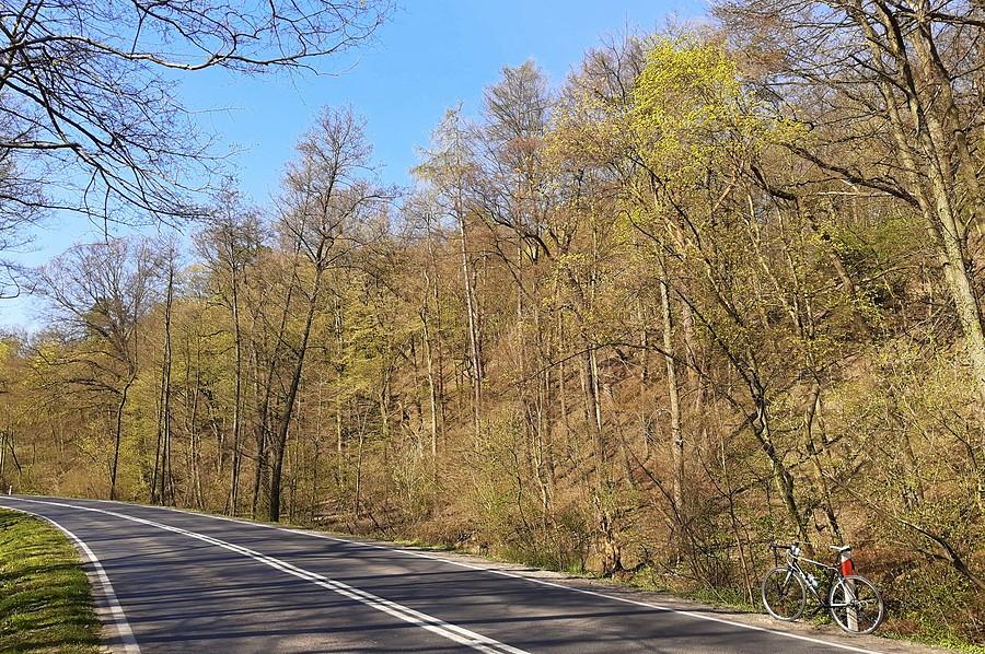 Puszczykowskie Góry z szosy