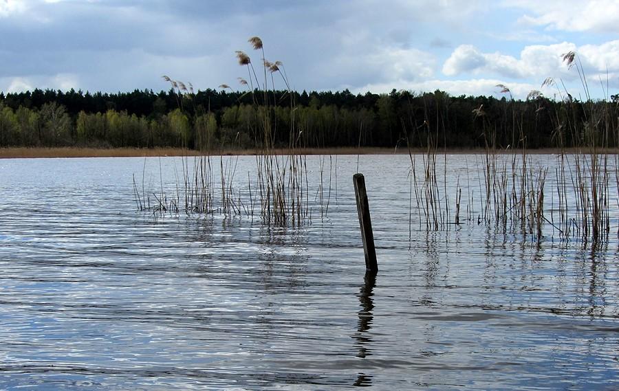Kątem plując :) - Jezioro Lusowskie