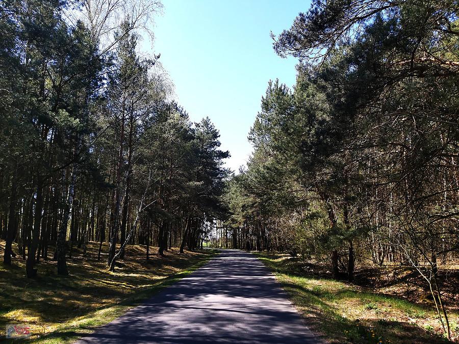Piękna droga boczna na Gizałki