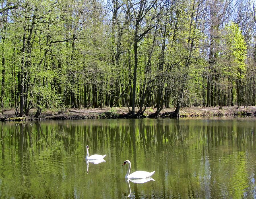 Świat kwitnie niezależnie od wszystkiego