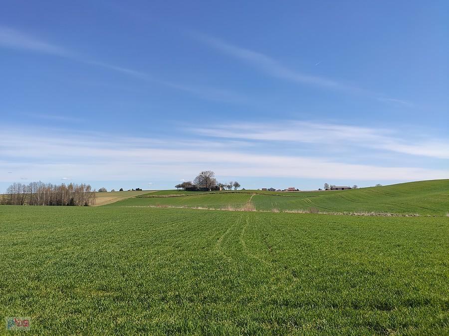 Widok na zazielenione pola