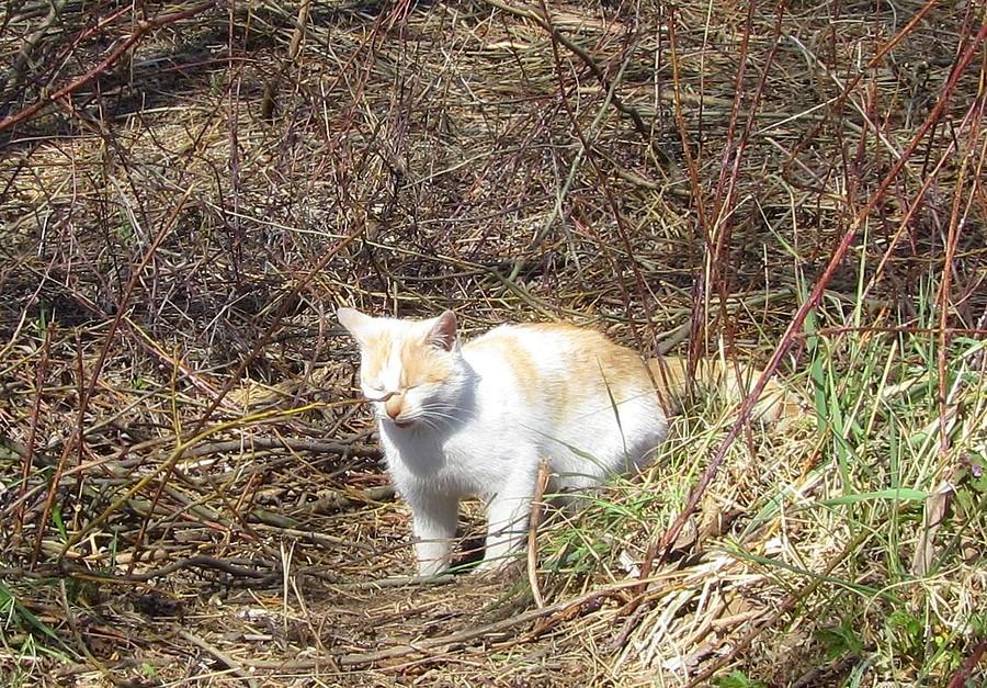 Mina trochę jak ta prezesa - Radzewice