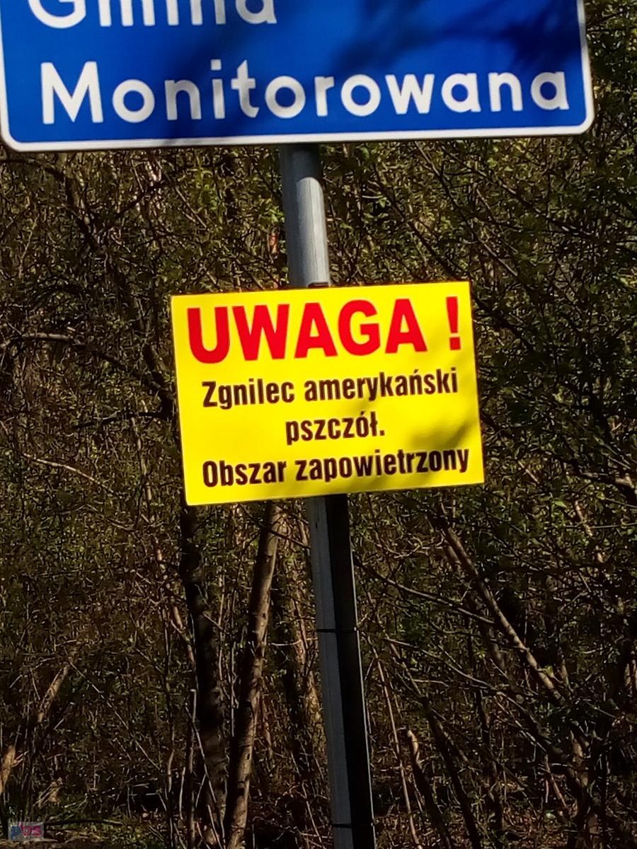 Przynajmniej ten mógłby odpuścić