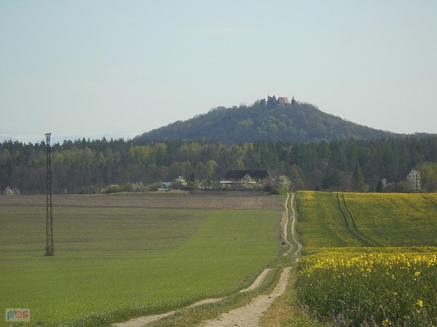 Prosta polna nie do zamku