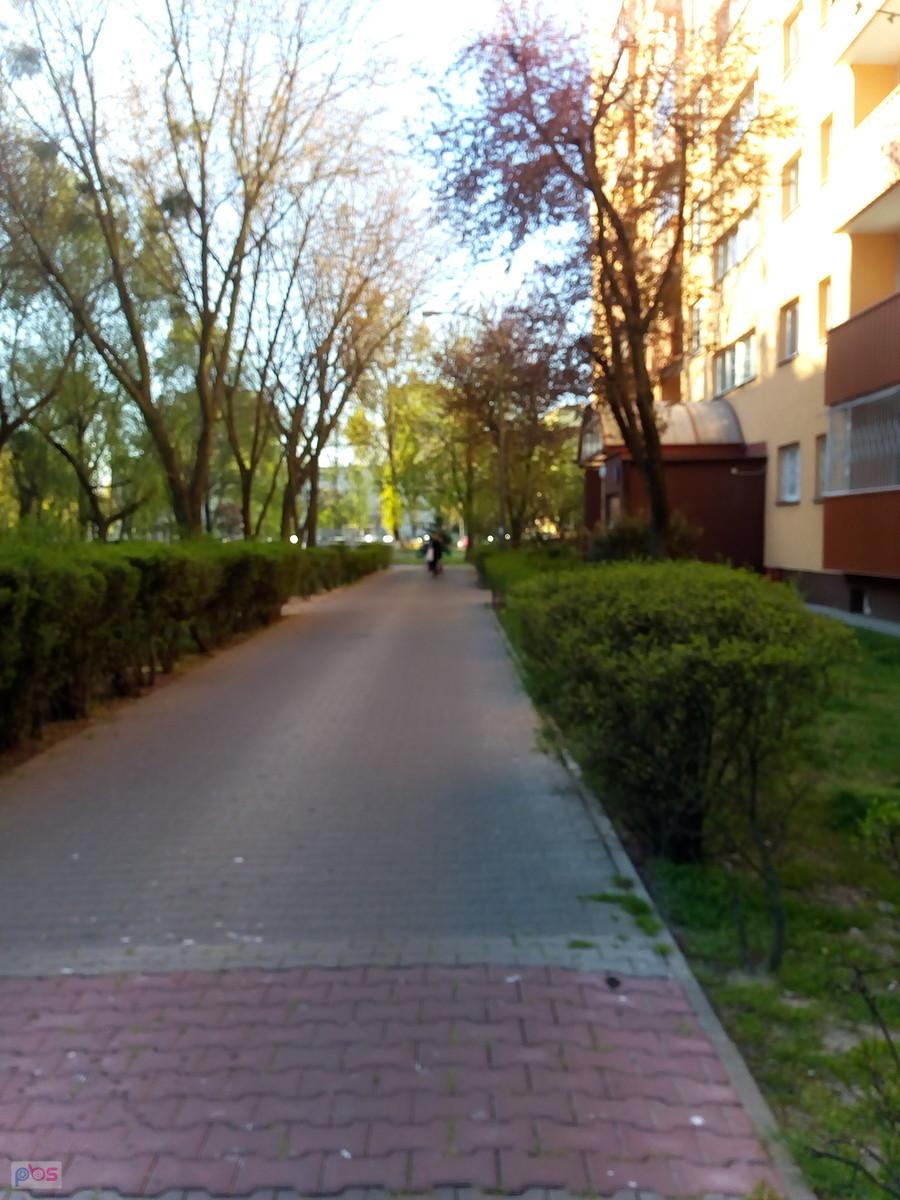 Najpierw do pracy