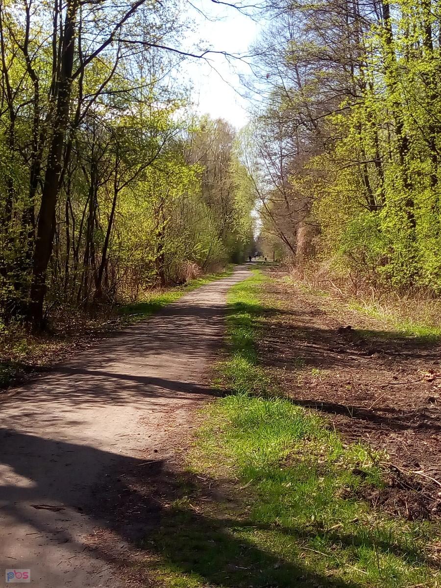 Oddychamy pełną piersią