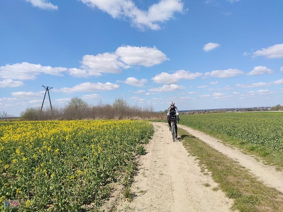 Piotrek na drodze polnej