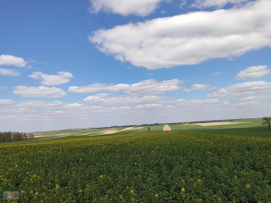 Widok na okoliczne pola koło Lublina
