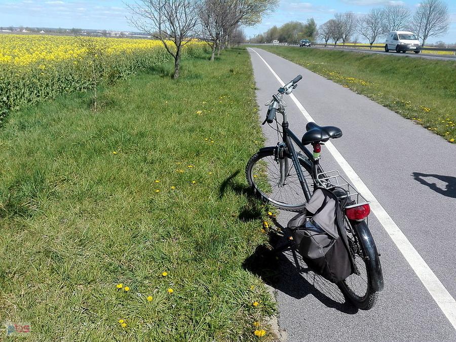 Ścieżka rowerowa między Przecławiem a Kołbaskowem.