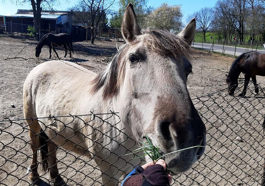 Decyzja właściwa - jest nagroda :)