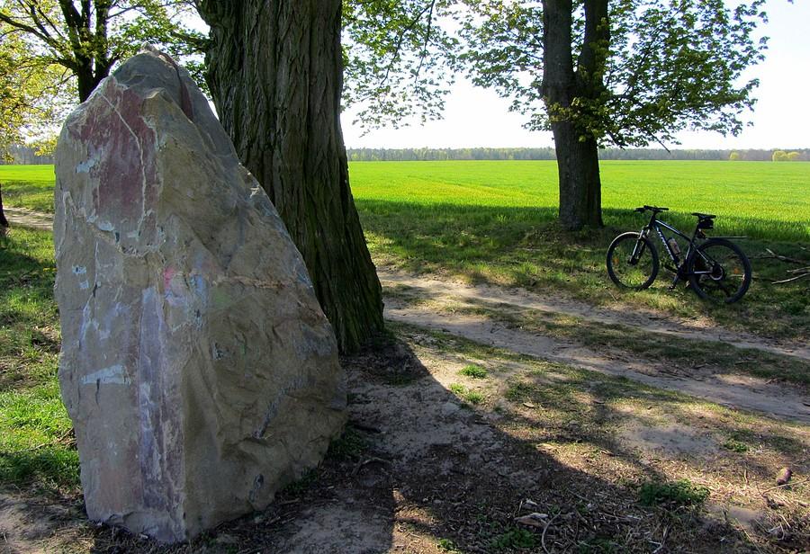 Głaz widokowy :) - Wielkopolski Park Narodowy