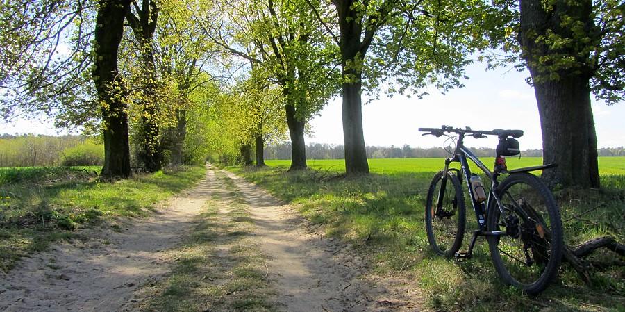 Oj, wyczekane - Wielkopolski Park Narodowy