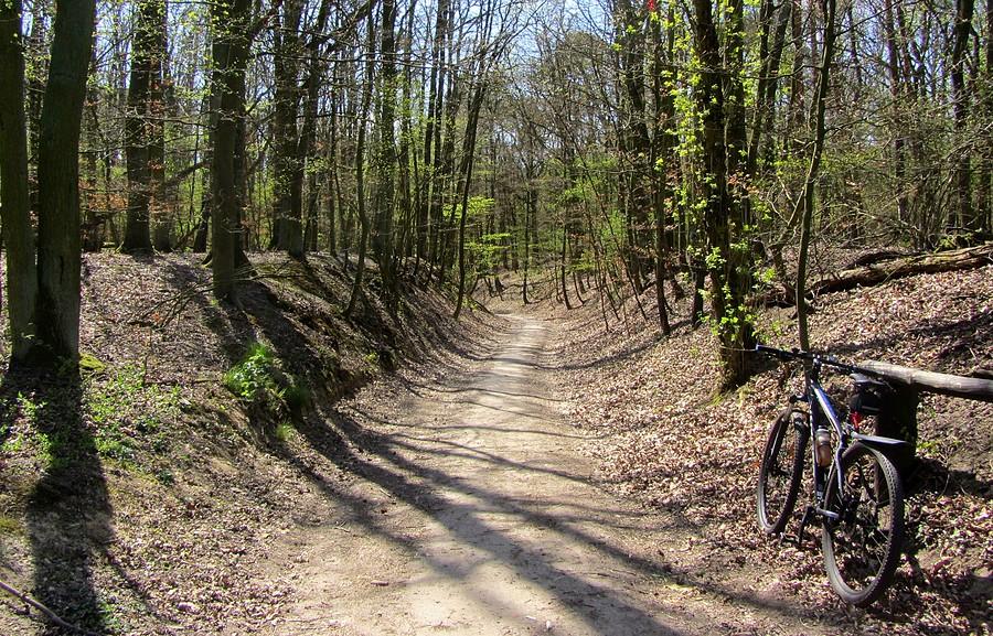Przed zjazdem wąwozem - Wielkopolski Park Narodowy