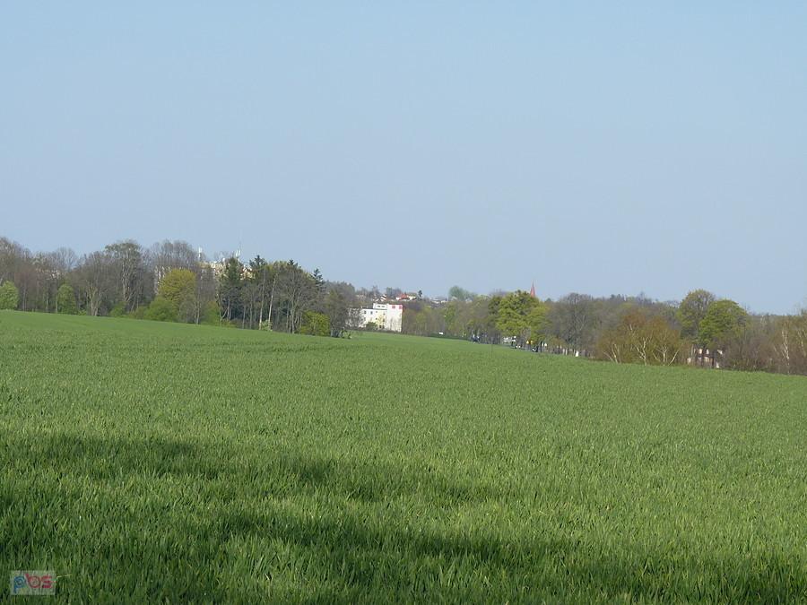 "trójka"