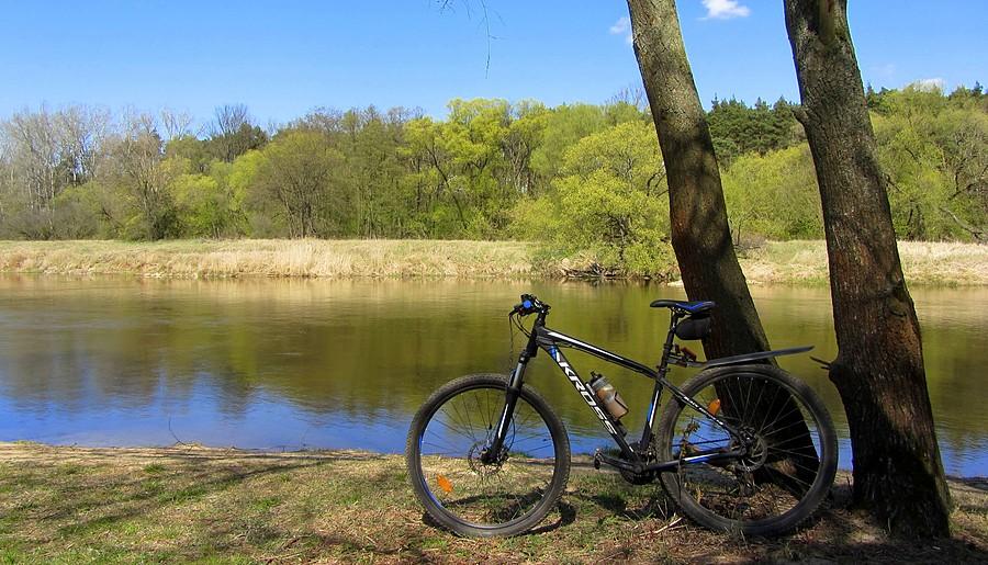 Plaża rzeczna w Puszczykowie - Wielkopolski Park Narodowy