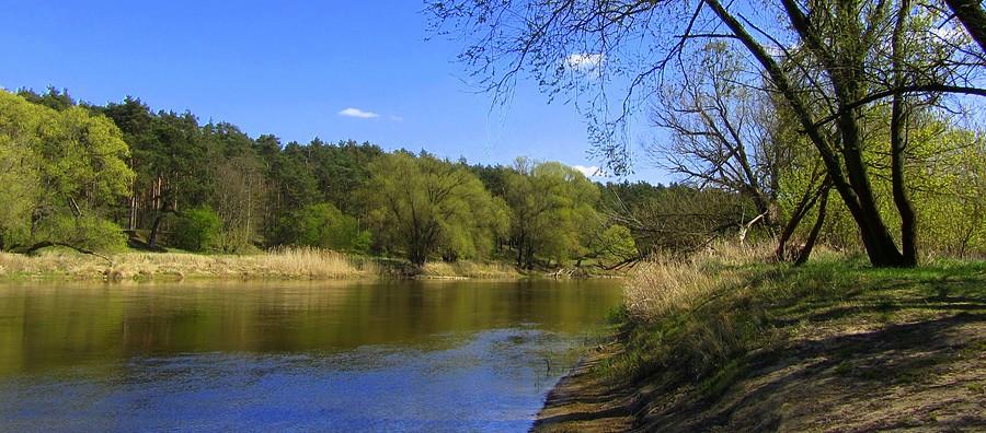 Widok na Wartę - Wielkopolski Park Narodowy
