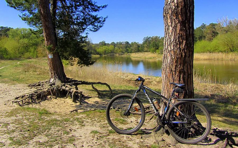 Zakorzenić się-ważna sprawa - Wielkopolski Park Narodowy